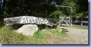 trunk with antilco written on it